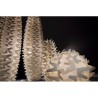SLAMP Cactus Floor lamp xl