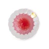 SELETTI Placa de dientes | Lightandshade