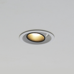 Brick In The Wall 200Cent Round Adj Trim Excl. Driver recessed spot
