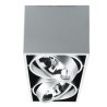 PSM Lighting Spinner X 1862 Ceiling Lamp