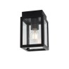PSM Lighting Polo W778 Ceiling Lamp