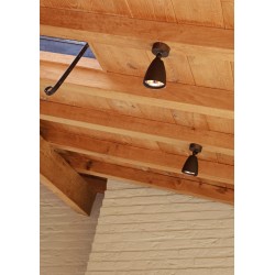 PSM Lighting Volta 1957 Ceiling Lamp / Wall Lamp