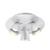 PSM Lighting Cupido 623.Ar70 Ceiling Lamp