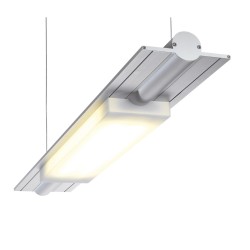 PSM Lighting Butterfly 2806Led Suspension Lamp