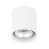 PSM Lighting Richard W1616 Ceiling Lamp