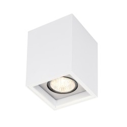 PSM Lighting Betaplus 1701.Es50 Ceiling Lamp