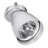 PSM Lighting Ø80 Convertible System Caspolka.Ar70Gu10 Recessed Spot