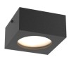 PSM Lighting Toledo W3062W Ceiling Lamp / Wall Lamp