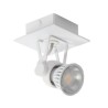 PSM Lighting Ringo 3231 Ceiling Lamp