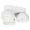PSM Lighting Olivia 1815.E27 Ceiling Lamp