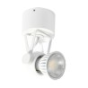 PSM Lighting Ringo 3241 Ceiling Lamp