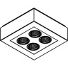PSM Lighting Luxor 1969.Ip20 Ceiling Lamp
