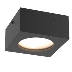 PSM Lighting Toledo 3062W Ceiling Lamp / Wall Lamp