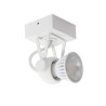 PSM Lighting Ringo 3230 Ceiling Lamp