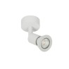 PSM Lighting Capucine 4500 Ceiling Lamp