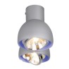 PSM Lighting Olivia 1812 Ceiling Lamp