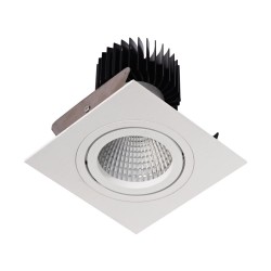 PSM Lighting Ø100 Luxor Xtm.1300.10040.S2 Recessed Spot