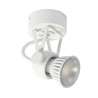 PSM Lighting Ringo 3240 Ceiling Lamp