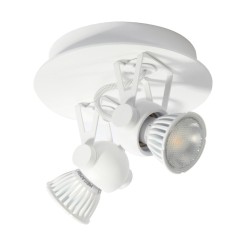 PSM Lighting Ringo 3243 Ceiling Lamp