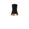 PSM Lighting Clara 3402.Es50 Ceiling Lamp