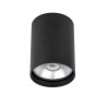 PSM Lighting Richard W1614 Ceiling Lamp