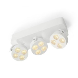 Trizo21 Mini-Pi 3 up ceiling lamp
