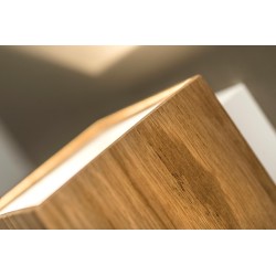 TAL DARTLING UP/DOWN LUX M MAINS DIMM wall lamp