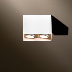 TAL DJANGO 2 ORIENTABLE GU10 ceiling lamp