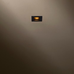 TAL MICRO TOMMY 1 LEAF recessed spot