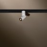 TAL MICROSCOOP TRACK 48V SINGLE track lighting