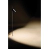 TAL ROSEAU LUX M garden pole