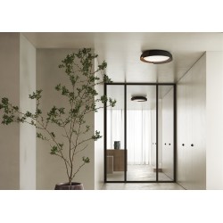 Kundalini Dala suspension lamp