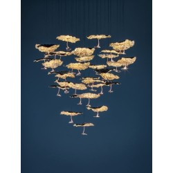 Catellani & Smith Gold Moon 35