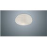 Foscarini Rituals 2 Wall/Ceiling Lámpara De Techo