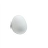 Foscarini Gregg Midi Wall/Ceiling Lámpara De Techo / Lámpara De Pared