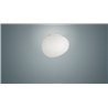 Foscarini Gregg Media Wall/Ceiling Lámpara De Techo / Lámpara De Pared