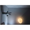 Foscarini Gregg Media Wall/Ceiling Lámpara De Techo / Lámpara De Pared
