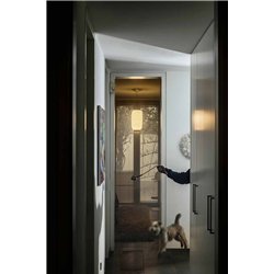 Foscarini Chouchin 2 Reverse Led Susp. 10M Lámpara De Suspensión