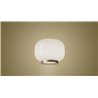 Foscarini Chouchin 1 Reverse Susp. 10M Lámpara De Suspensión