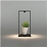 Artemide Curiosity 45 / FOCUS Table lamp