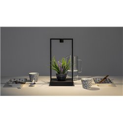 Artemide Curiosity 45 / FOCUS Table lamp