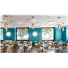 Artemide Gople suspended lamp