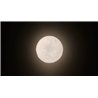 Artemide Meteorite 35 Wall lamp / ceiling lamp