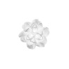 Slamp LA BELLE ETOILE CEILING LAMP