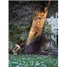 Nordlux Taurus [IP54] lámpara de jardín