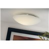 Nordlux Standard 25 lámpara de techo