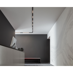 Wever & Ducré Strex Module 2.0 Opal iluminación de la pista