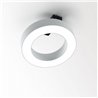 Delta Light SUPER-OH! XS PIVOT 25 DIM8 lámpara de techo