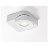 Delta Light TWEETER M ON 1 DIM8 Lámpara de techo / Lámpara de pared