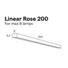 Lumina Linear Rose 200 cm (Max. x8)